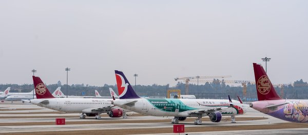 Voyage écologique : vivez des aventures durables et enrichissantes